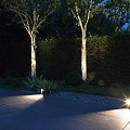 Ace Dark Solitary down light 12V/3W LED Warm White