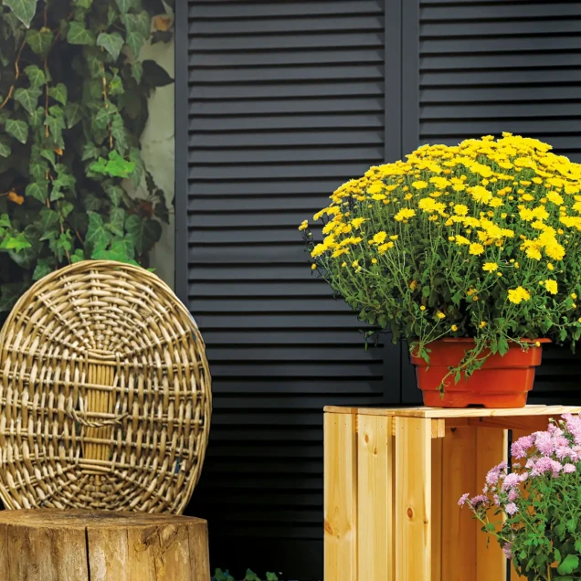 Keruing FSC tuinscherm "Royal" recht shutter 27L 15mm verstelbaar 68x900x1800mm [zwart]