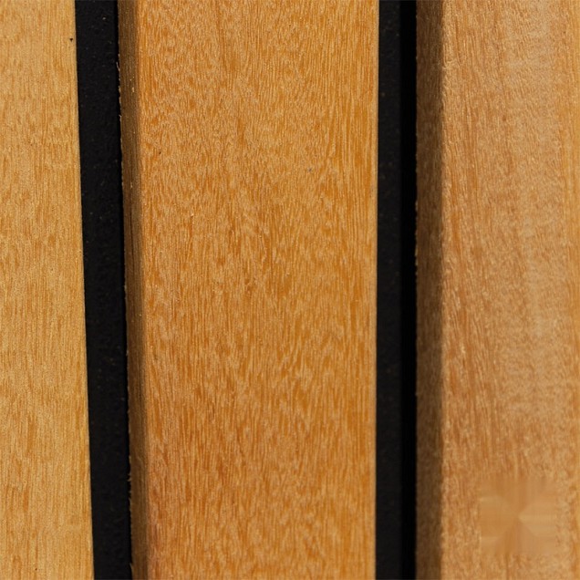 Elephant tuindeur Stripes Black hardhout FSC 45x1000x1800mm vlak geschaafd / RVS geschroefd